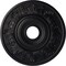 Ekena Millwork Vienna Ceiling Medallion (Fits Canopies up to 6 1/2"), 20"OD x 3 1/2"ID x 1 1/2"P, Steel Gray CM20VISGS - alternate 1